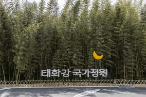 태화강 국가정원 2