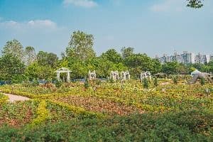 용산가족공원 2