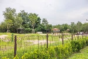 인천대공원 반려동물 놀이터 2