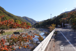 배내골(울산) 2